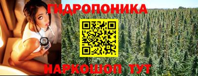 крисы Ефремов