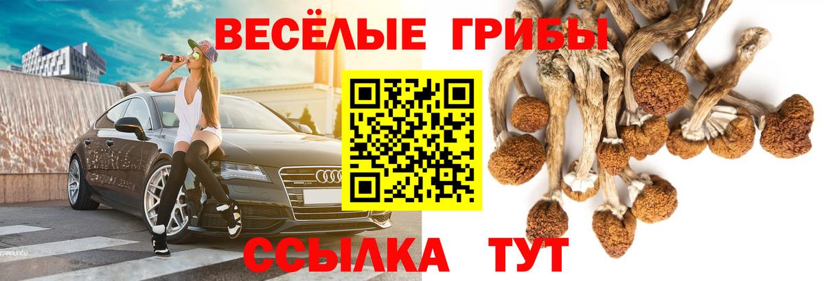 Галлюциногенные грибы GOLDEN TEACHER Муром